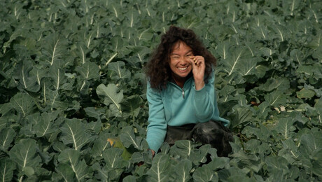 Hoe wordt broccoli verbouwd?